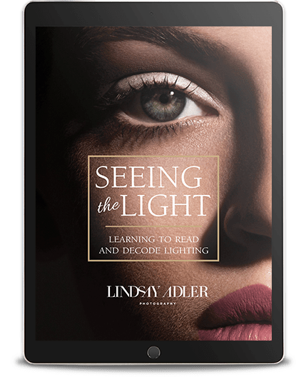 Seeing the Light Guide - Lindsay Adler Photography